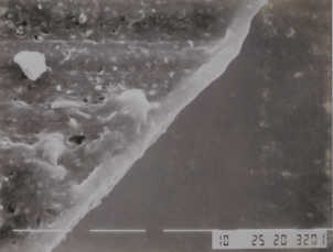 Hydrogel on diagnostic catheter